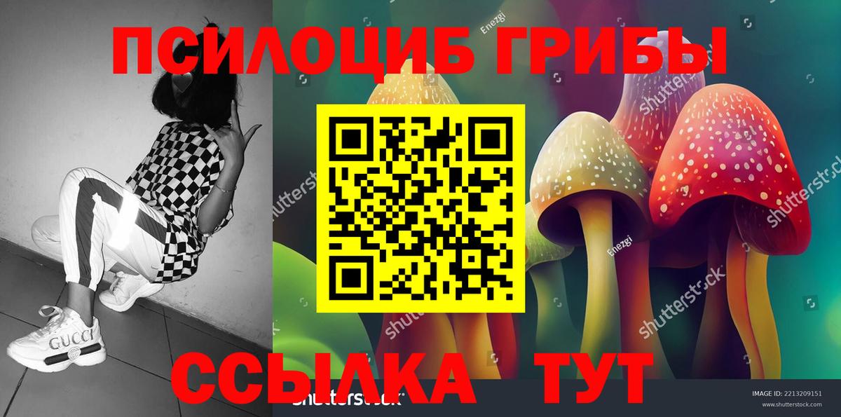 Тавда  Галлюциногенные грибы прущие грибы  Псилоцибиновые грибы Cubensis  Вход с VPN 