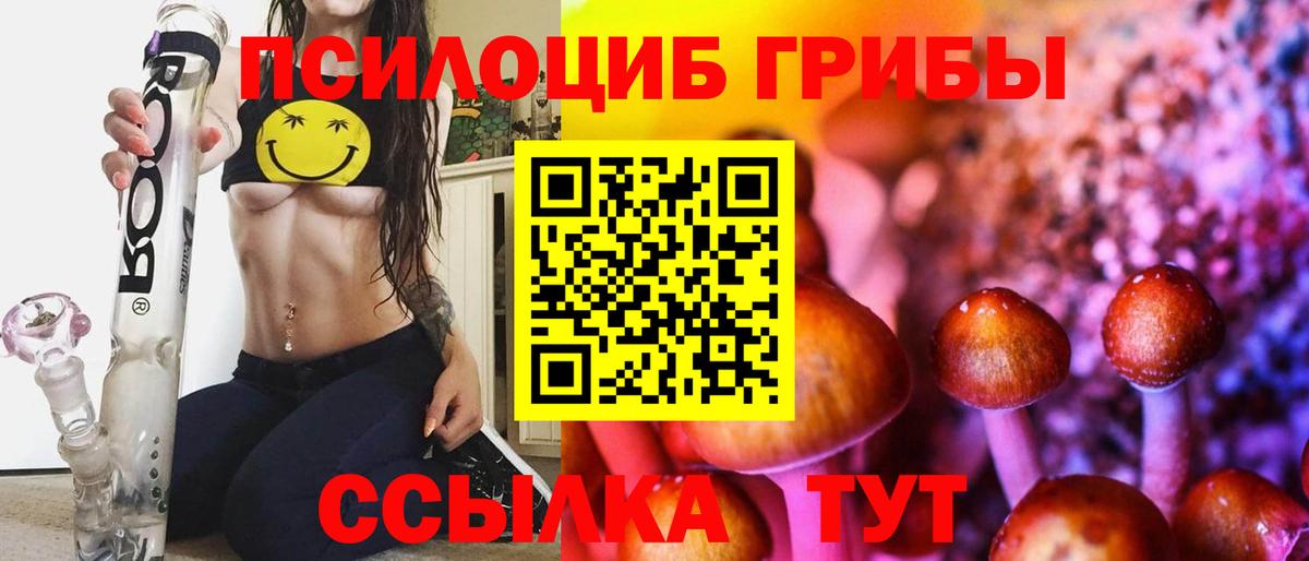 Галлюциногенные грибы GOLDEN TEACHER Тавда